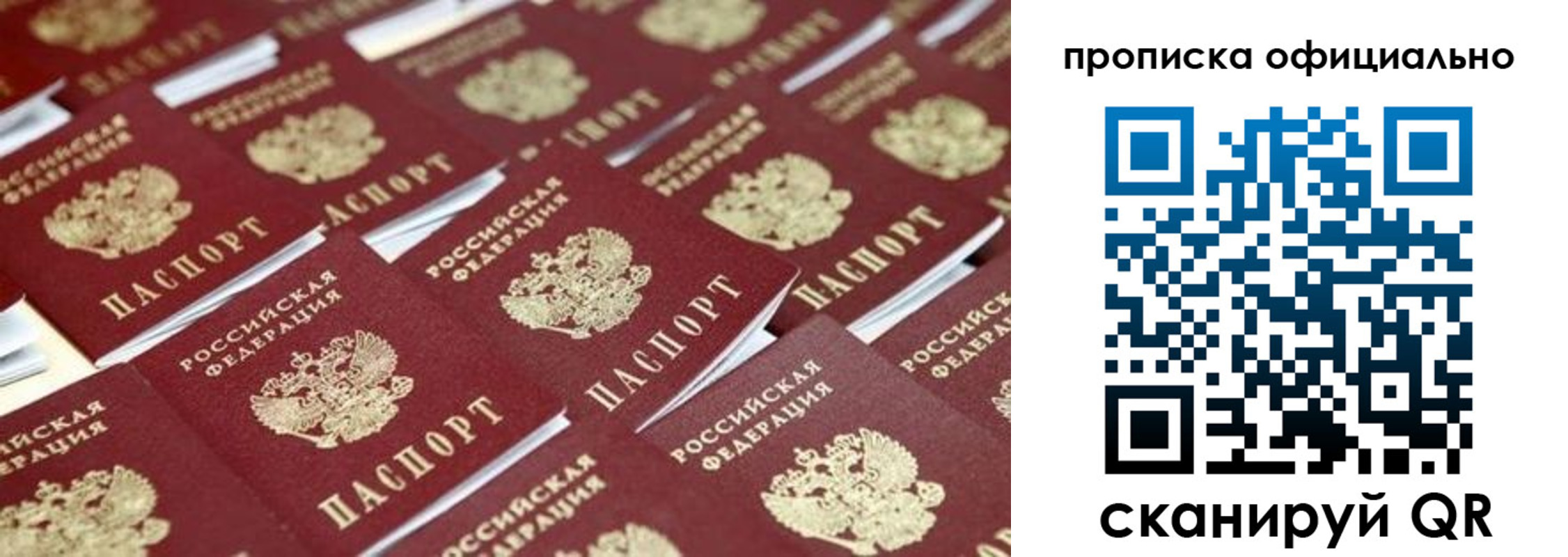 прописка гарантия в Зернограде